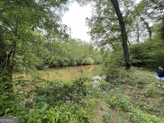 1791 Little Fawn Trl NW, Conyers, GA 30012 - view of nature