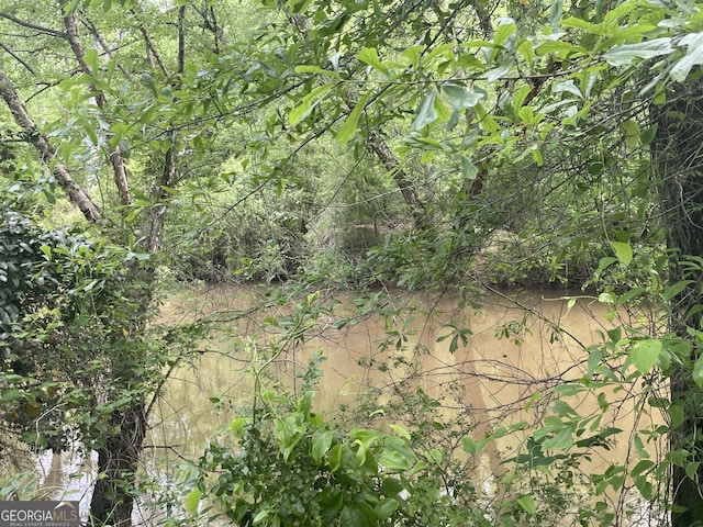 1791 Little Fawn Trl NW, Conyers, GA 30012 - view of nature