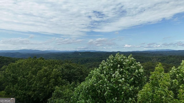 1419 Foxhound Trl NE, Ranger, GA 30734