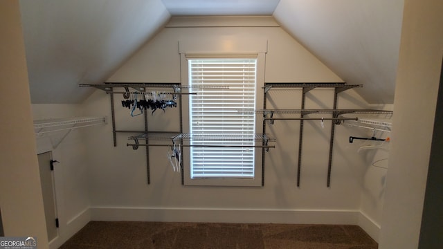90 Alcovy Reserve Way, Covington, GA 30014 - spacious closet with carpet flooring and lofted ceiling