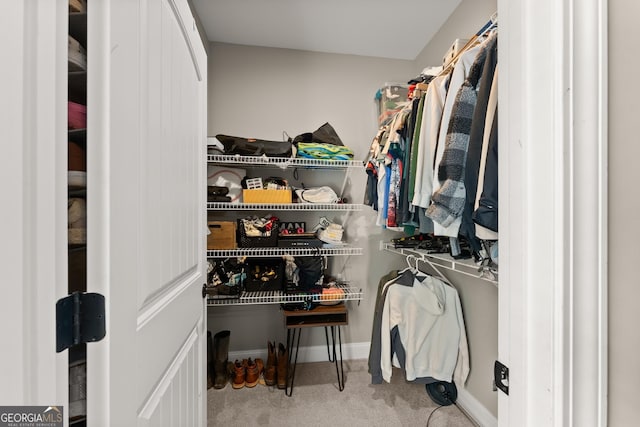 4813 Jess Helton Rd, Gainesville, GA 30506 - spacious closet featuring carpet flooring