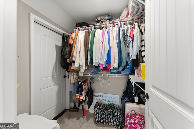 4813 Jess Helton Rd, Gainesville, GA 30506 - walk in closet with carpet flooring