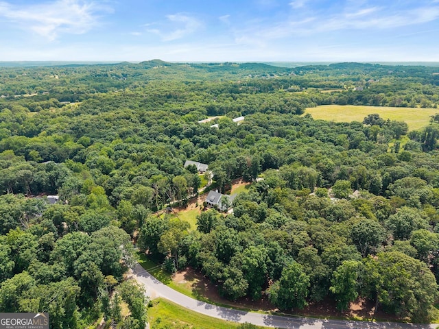 4813 Jess Helton Rd, Gainesville, GA 30506 - aerial view of a forest