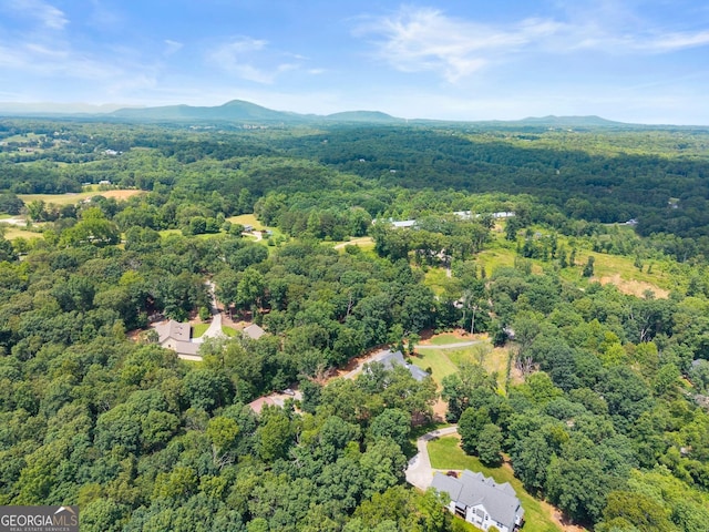 4813 Jess Helton Rd, Gainesville, GA 30506 - drone / aerial view of a forest and a mountainous background