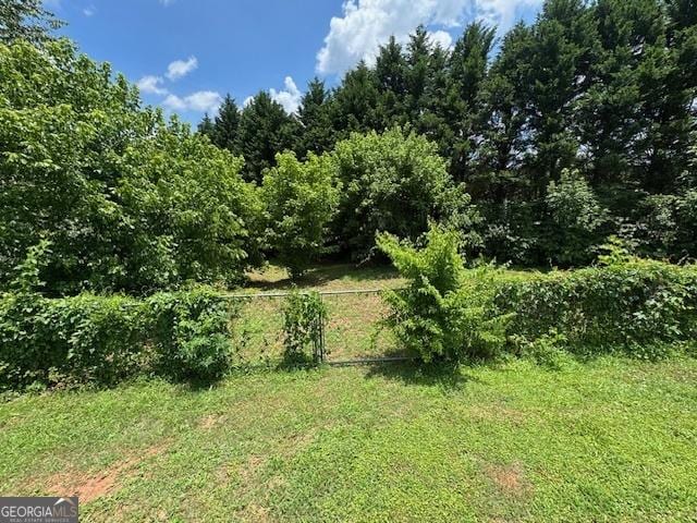 330 Anchors Way, Winder, GA 30680 - view of local wilderness