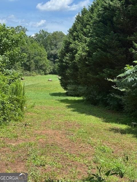 330 Anchors Way, Winder, GA 30680 - view of yard featuring a wooded view
