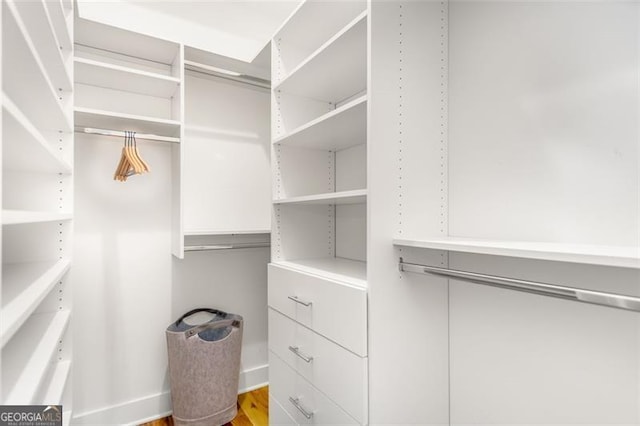 167 Sampson St, Atlanta, GA 30312 - spacious closet with wood finished floors