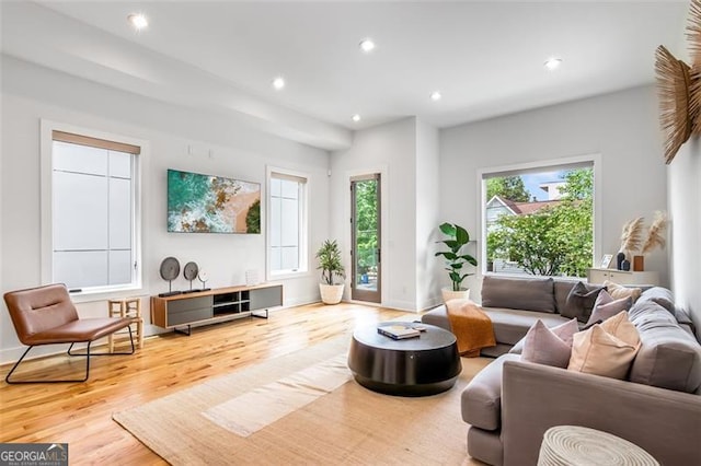 167 Sampson St, Atlanta, GA 30312 - living area featuring wood finished floors and recessed lighting