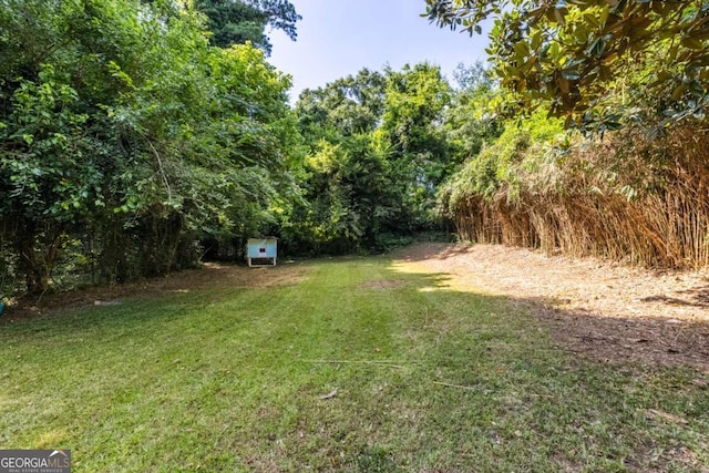 3205 Mcafee Rd, Decatur, GA 30032 - view of grassy yard