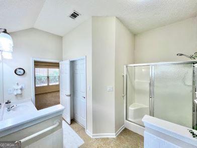 121 Pinnacle Ln, Mcdonough, GA 30253 - bathroom featuring vaulted ceiling, vanity, a stall shower, and a textured ceiling