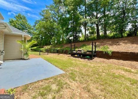 121 Pinnacle Ln, Mcdonough, GA 30253 - view of yard featuring a patio area