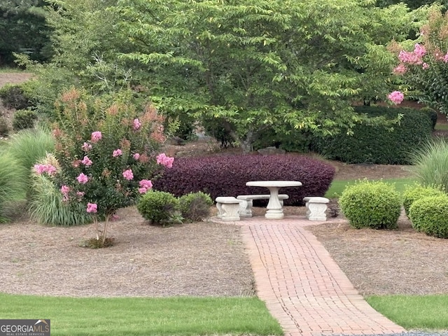 121 Pinnacle Ln, Mcdonough, GA 30253 - view of yard