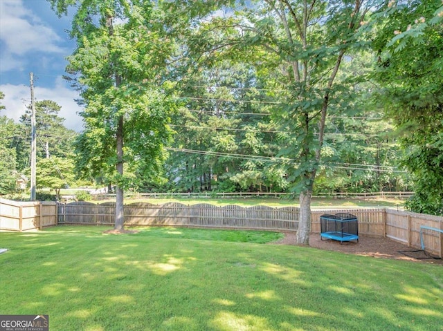 5195 Oaks Landing Ct, Sugar Hill, GA 30518 - fenced backyard featuring a trampoline