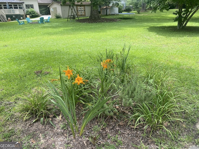 212 Rockmart Rd, Villa Rica, GA 30180 - view of green lawn with a trampoline and a shed