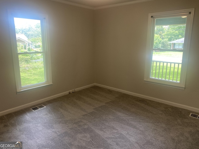 212 Rockmart Rd, Villa Rica, GA 30180 - unfurnished room featuring ornamental molding and carpet floors