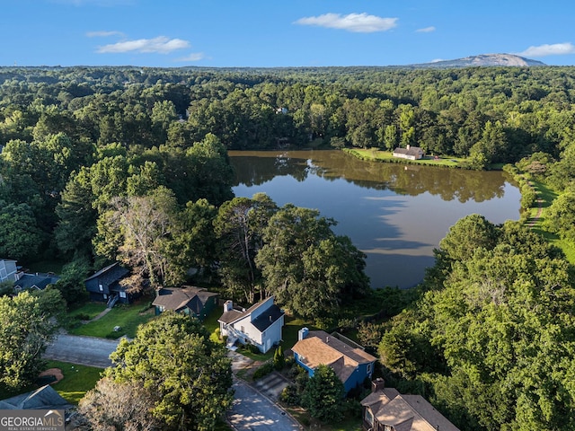 1077 Mainstreet Valley Dr, Stone Mountain, GA 30088 - view of property location with a nearby body of water