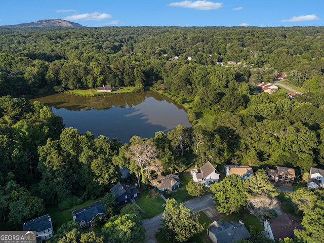 1077 Mainstreet Valley Dr, Stone Mountain, GA 30088 - aerial overview of property's location with a heavily wooded area and a large body of water