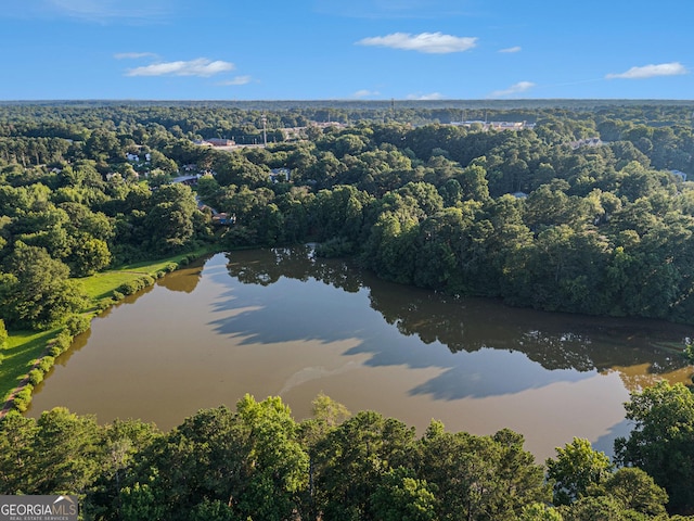1077 Mainstreet Valley Dr, Stone Mountain, GA 30088 - drone / aerial view of a nearby body of water and a forest