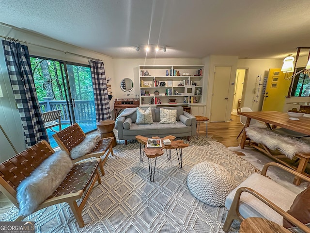 278 W Sugarbush Dr, Dillard, GA 30537 - living room featuring wood finished floors and rail lighting
