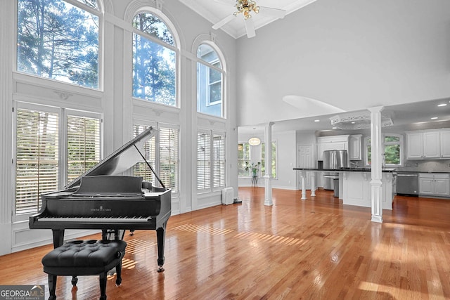 4030 Greatwood Path, Alpharetta, GA 30005 - living area with ornate columns, ornamental molding, plenty of natural light, a high ceiling, and light wood-type flooring