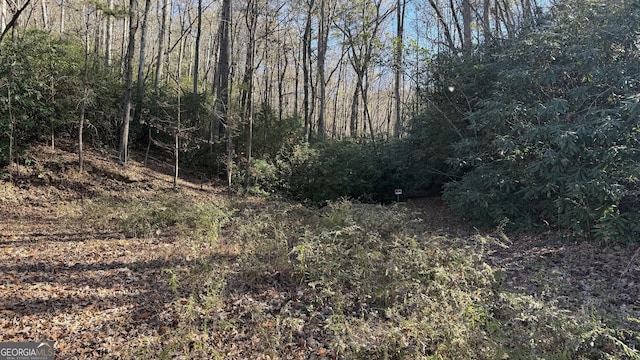 0 Goshen Rd, Clarkesville, GA 30523