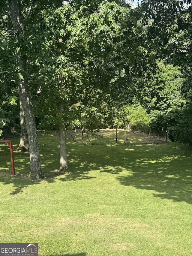 10 Montre Cir SE, Silver Creek, GA 30173 - view of yard