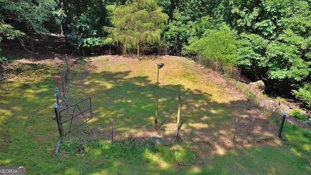 10 Montre Cir SE, Silver Creek, GA 30173 - view of yard