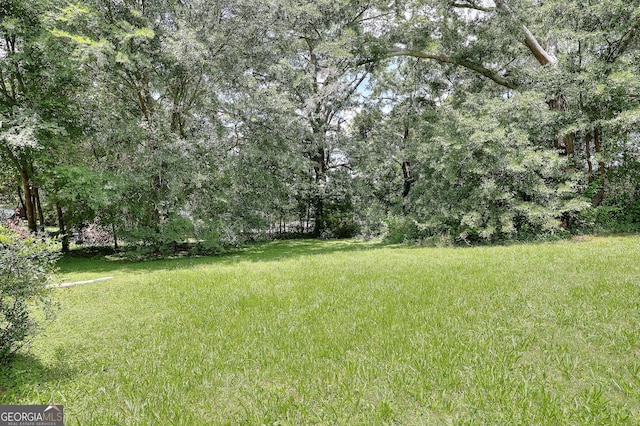 67 Cotton St, Commerce, GA 30529 - view of green lawn