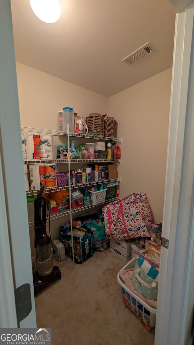 2435 Hickory Station Cir, Snellville, GA 30078 - view of storage area