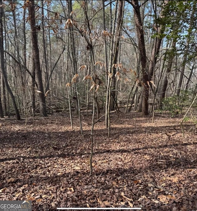 0 Cavender Creek Rd, Dahlonega, GA 30533