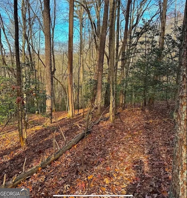 0 Cavender Creek Rd, Dahlonega, GA 30533