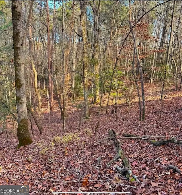 0 Cavender Creek Rd, Dahlonega, GA 30533