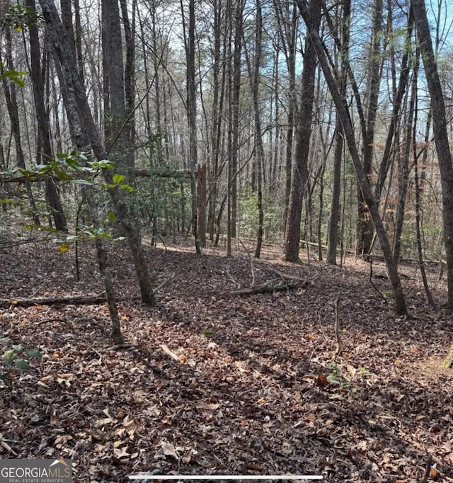 0 Cavender Creek Rd, Dahlonega, GA 30533