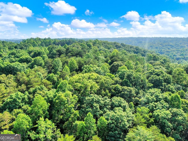 0 Cavender Creek Rd, Dahlonega, GA 30533