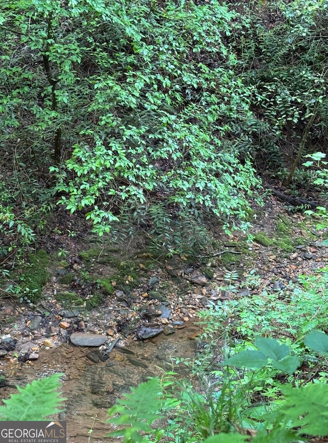 0 Cavender Creek Rd, Dahlonega, GA 30533