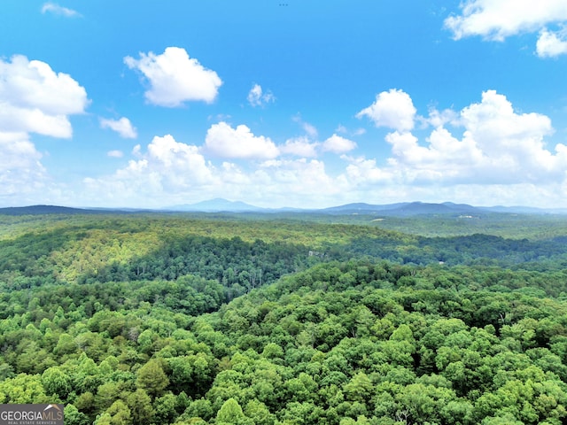 0 Cavender Creek Rd, Dahlonega, GA 30533