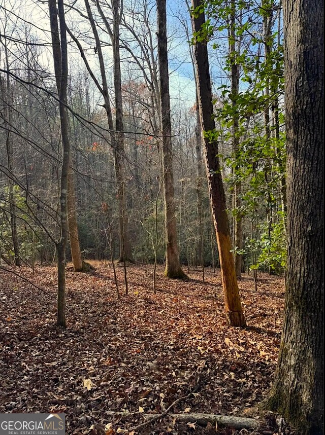 0 Cavender Creek Rd, Dahlonega, GA 30533
