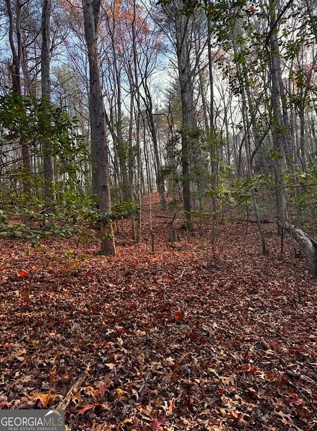 0 Cavender Creek Rd, Dahlonega, GA 30533