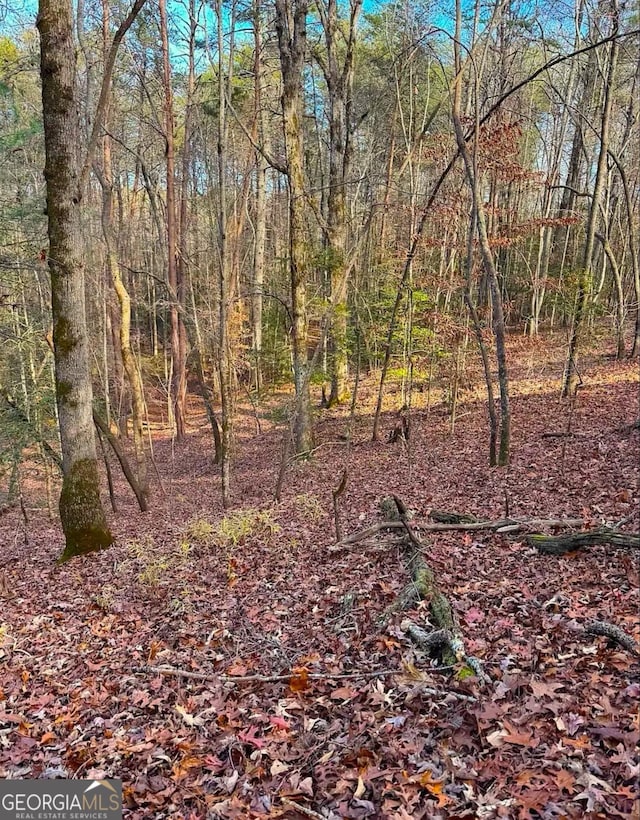 0 Cavender Creek Rd, Dahlonega, GA 30533
