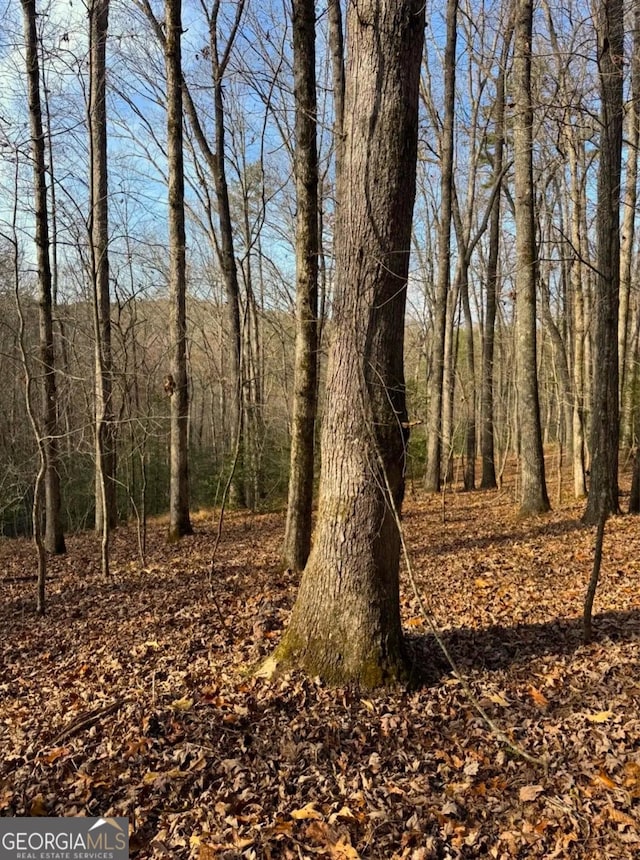 0 Cavender Creek Rd, Dahlonega, GA 30533