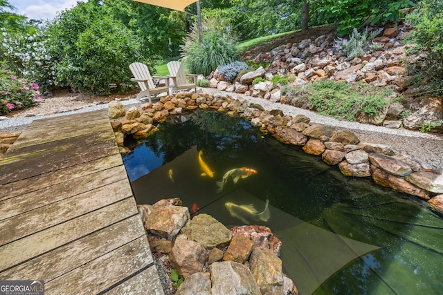 290 Vinson Rd, Tignall, GA 30668 - exterior view of a garden pond