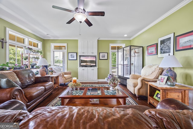 290 Vinson Rd, Tignall, GA 30668 - living room featuring wood finished floors, ceiling fan, and ornamental molding