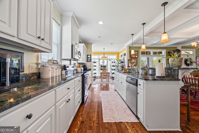 290 Vinson Rd, Tignall, GA 30668 - kitchen with appliances with stainless steel finishes, dark wood-type flooring, white cabinets, plenty of natural light, and crown molding