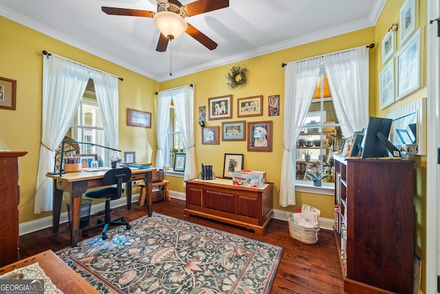 290 Vinson Rd, Tignall, GA 30668 - office space featuring a ceiling fan, wood finished floors, and crown molding