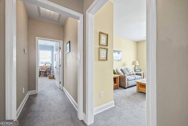 290 Vinson Rd, Tignall, GA 30668 - corridor featuring carpet flooring and baseboards