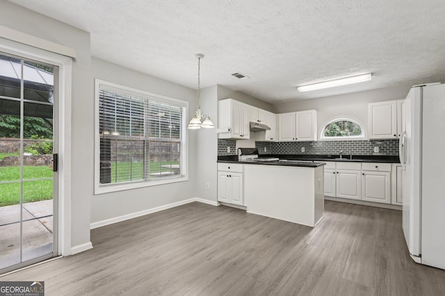 2379 Fallbrook Ct, Duluth, GA 30096 - kitchen featuring freestanding refrigerator, under cabinet range hood, wood finished floors, dark countertops, and white cabinets