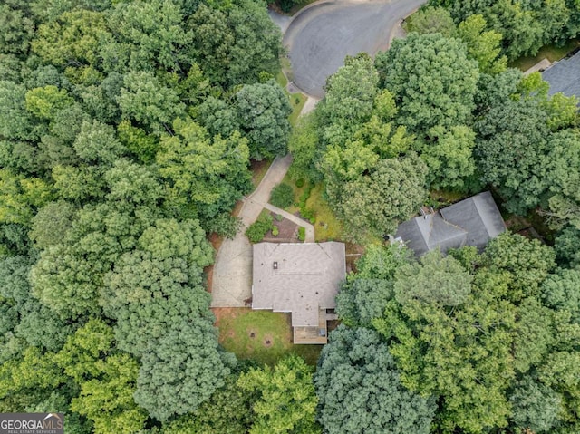 217 Bridgewater Trl, Canton, GA 30115 - aerial overview of property's location
