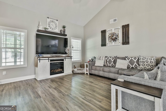 120 Mylee Cv, Barnesville, GA 30204 - living area with high vaulted ceiling, wood finished floors, and a glass covered fireplace