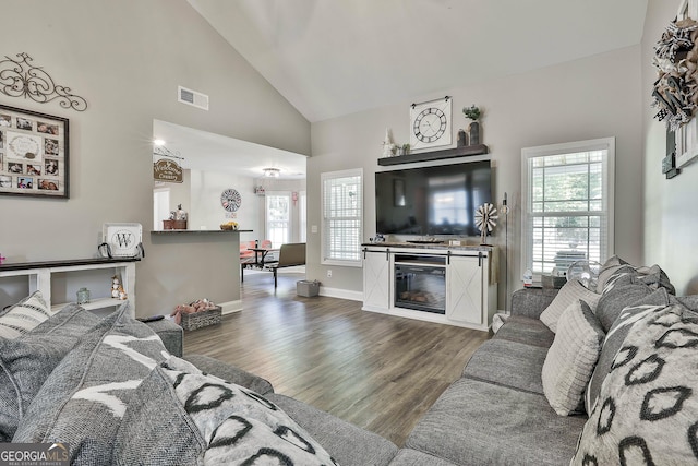 120 Mylee Cv, Barnesville, GA 30204 - living area featuring high vaulted ceiling, wood finished floors, and a glass covered fireplace
