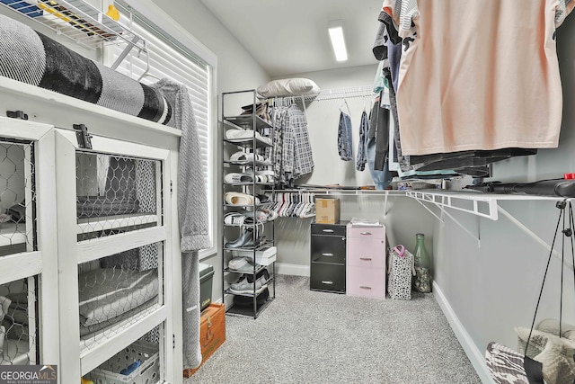 120 Mylee Cv, Barnesville, GA 30204 - walk in closet featuring carpet